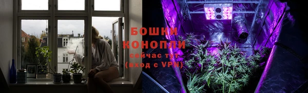 мдпв Михайлов