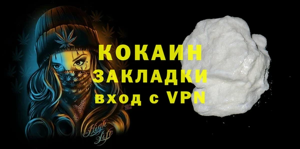 мдпв Михайлов