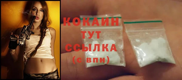 мдпв Михайлов