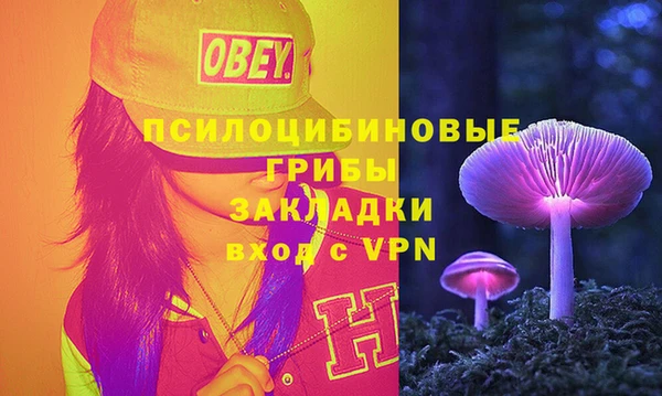 ECSTASY Михайловка