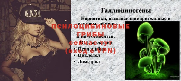 мдпв Михайлов