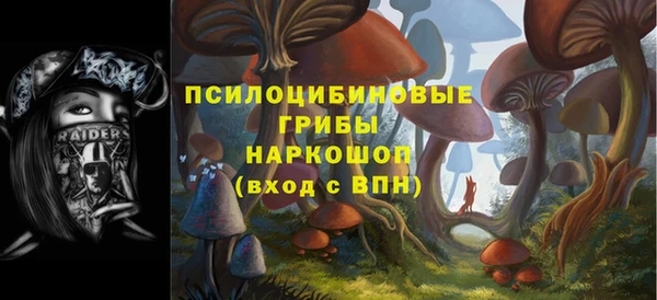 ECSTASY Михайловка