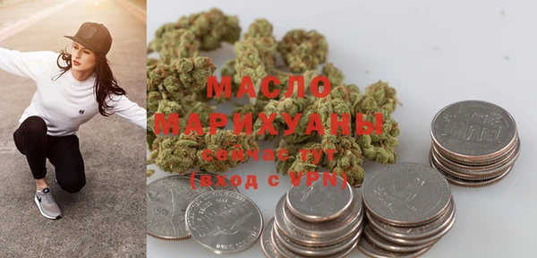 мдпв Михайлов