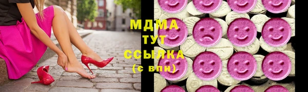 мдпв Михайлов