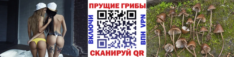 Галлюциногенные грибы Magic Shrooms  Купить закладки  Ишимбай 
