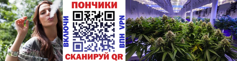 Купить  Ишимбай  Каннабис SATIVA & INDICA 